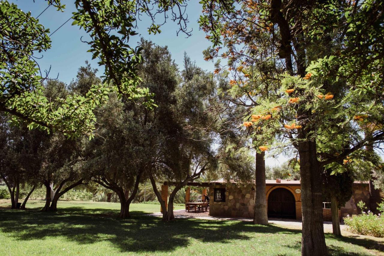Rancho Toros Pintos Villa Вале де Гуадалупе Екстериор снимка