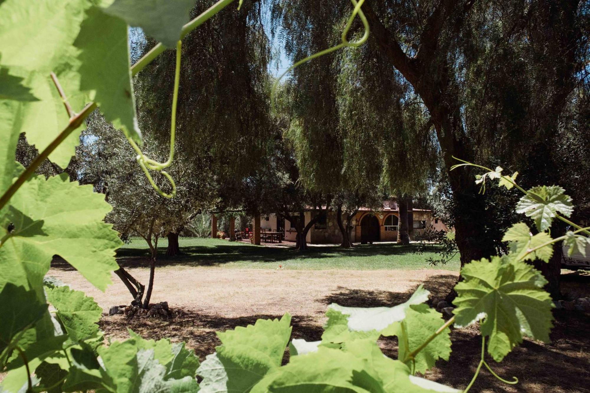 Rancho Toros Pintos Villa Вале де Гуадалупе Стая снимка